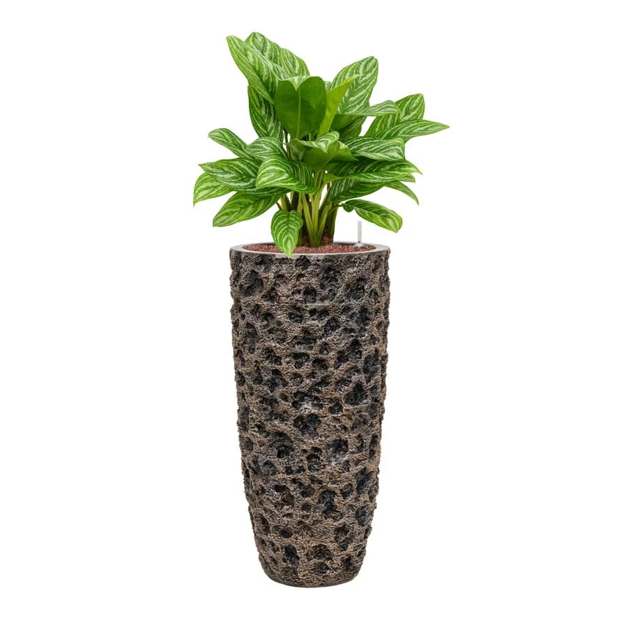 Luxe Lite Moon Partner Planter - Bronze 8 Luxe Lite Moon Partner Planter - Bronze - Image 8
