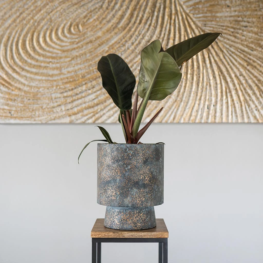 Aily Plant Pot - Earth Cement 6 Aily Plant Pot - Earth Cement - Image 6