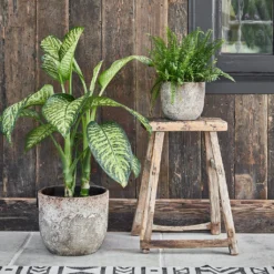 Albero Plant Pot - Cement -Outlet The Ever Sprout Store Albero Plant Pot Cement 28 x 26cm