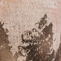 Albero Plant Pot - Cement -Outlet The Ever Sprout Store Albero Plant Pot Cement DETAIL