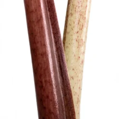 Alocasia Yucatan Princess - Elephant Ear -Outlet The Ever Sprout Store Alocasia Yucatan Princess Elephant Ear Close Up 002