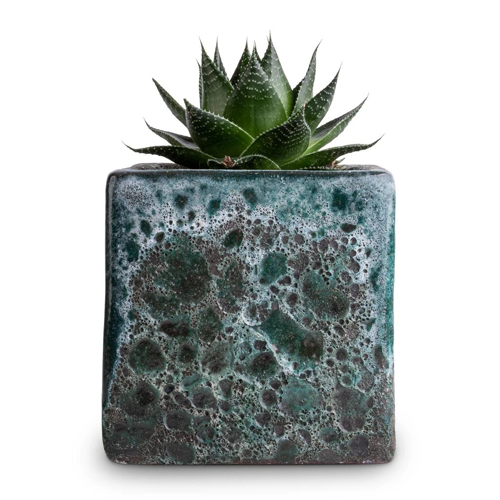 Lava Cube Relic Planter - Jade 2 Lava Cube Relic Planter - Jade - Image 2