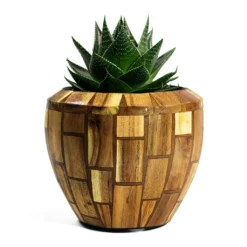 Aloe Aristata Cosmo -Outlet The Ever Sprout Store Aloe aristata Cosmo Facets Couple Planter Jenga 6ef3fe47 8cc6 4134 a59b b8663f9c96f1