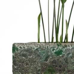 Lava Cube Relic Planter - Jade 24 Lava Cube Relic Planter - Jade -Outlet The Ever Sprout Store Aspidistra Cast Iron Plant Lava Cube Relic Planter Jade Close Up