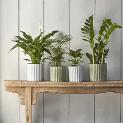 Azalea Ribbed Plant Pot - Speckled Grey Stone 13 Azalea Ribbed Plant Pot - Speckled Grey Stone -Outlet The Ever Sprout Store Azalea Ribbed Plant Pot Speckled Green Grey Stone 71a3b4c6 1038 4a69 8560 db5cdee2019f