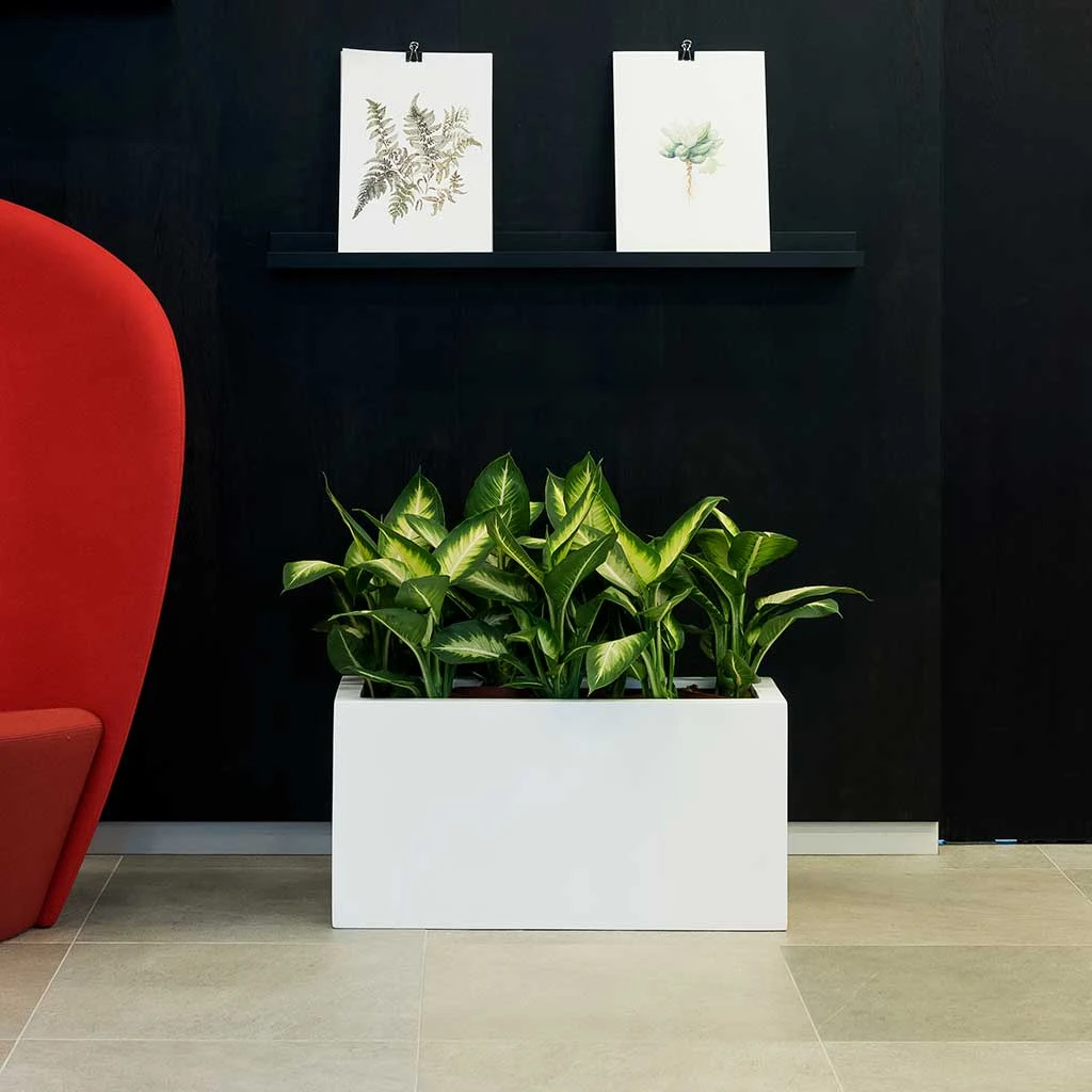 Balcony Planter - Matt White 2 Balcony Planter - Matt White - Image 2