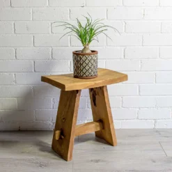 Beaucarnea - Pony Tail Palm - Orb 17 Beaucarnea - Pony Tail Palm - Orb -Outlet The Ever Sprout Store Beaucarnea Pony Tail Palm Orb liam grey plant pot natural 75c4d917 b2bf 49b7 be25 2fc18a3f2ba9