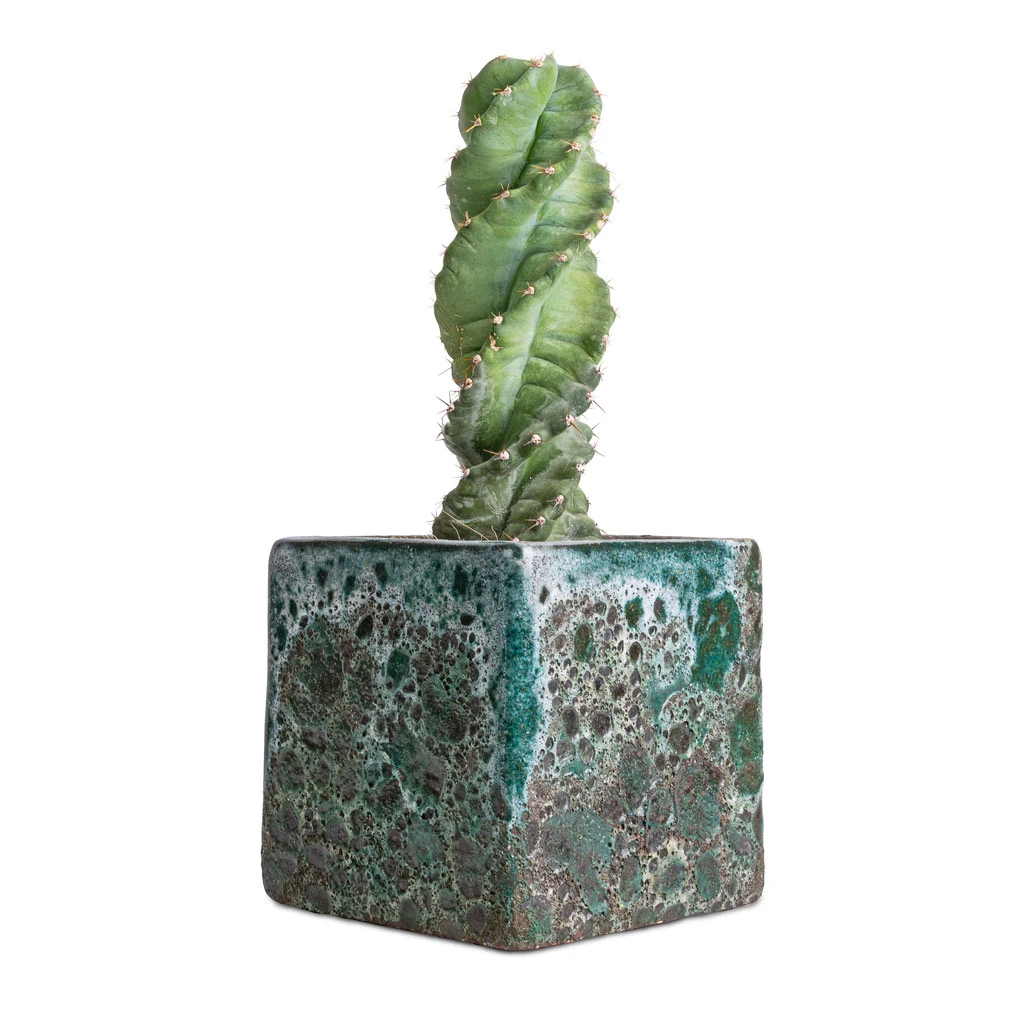 Lava Cube Relic Planter - Jade 6 Lava Cube Relic Planter - Jade - Image 6