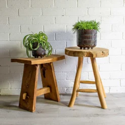 Senecio Himalaya - Himalaya Groundsel -Outlet The Ever Sprout Store Chlorophytum Bonnie Curly Spider Plant Senecio Himalaya Himalaya Groundsel Denise Plant Pot Blue Bronze deff1630 c6f8 4ee2 baf3 32fc8f3696f7