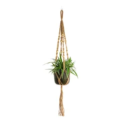 Chlorophytum Ocean - Spider Plant -Outlet The Ever Sprout Store Chlorophytum Ocean Spider Plant Bolino Plant Pot Green Plant Pot Macrame Hanger Natural with Beads b3d0d160 eb52 4152 a1c6 665f4eb3bf2f
