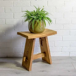 Chlorophytum Ocean - Spider Plant -Outlet The Ever Sprout Store Chlorophytum Ocean Spider Plant odile moss plant pot natural 556d5ded ba29 4954 aac9 69cf85198702