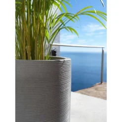Cody Plant Vase - Ridged Dark Grey -Outlet The Ever Sprout Store Cody Tall Planter Ridged Dark Grey Areca Palm