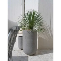 Cody Plant Vase - Ridged Dark Grey -Outlet The Ever Sprout Store Cody Tall Planter Ridged Dark Outdoor Palm