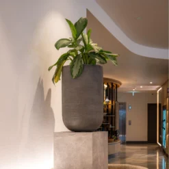 Cody Plant Vase - Ridged Dark Grey -Outlet The Ever Sprout Store CodyPlantVase RidgedDarkGrey 1