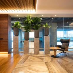 Cody Plant Vase - Ridged Dark Grey -Outlet The Ever Sprout Store CodyPlantVase RidgedDarkGrey 9