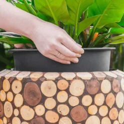 Facets Couple Planter - Ageless -Outlet The Ever Sprout Store Facets Couple Planter Ageless 1