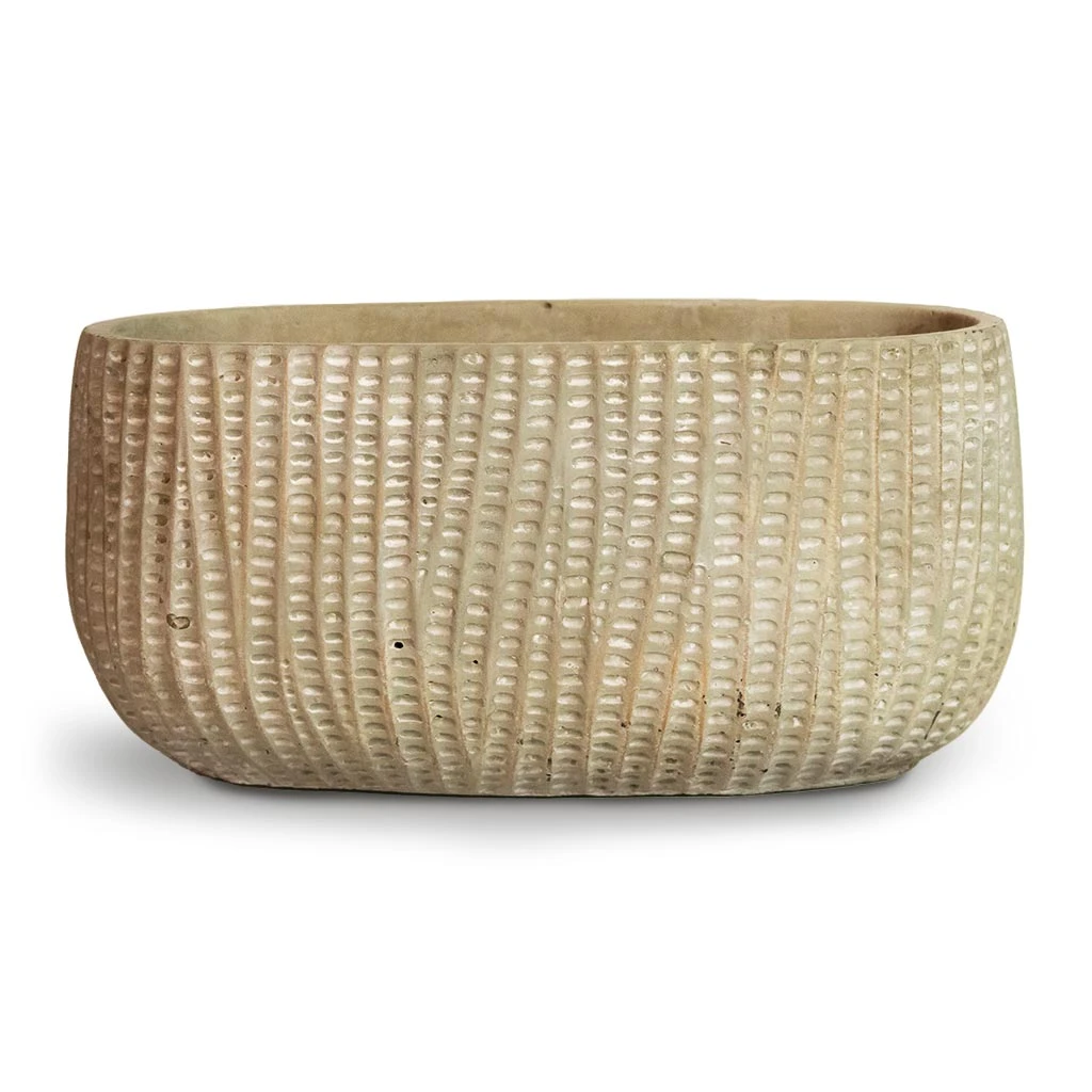 Feico Oval Plant Bowl - Mint Grey 1 Feico Oval Plant Bowl - Mint Grey