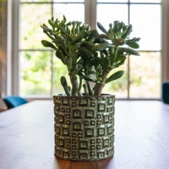 Fiene Plant Pot - Green 8 Fiene Plant Pot - Green -Outlet The Ever Sprout Store Fiene Green 1