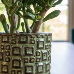 Fiene Plant Pot - Green 10 Fiene Plant Pot - Green -Outlet The Ever Sprout Store Fiene Green 2