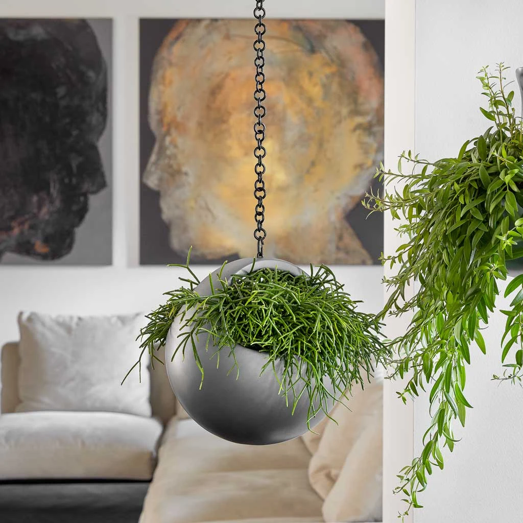 Gradient Hanging Basket - Matt Grey 2 Gradient Hanging Basket - Matt Grey - Image 2