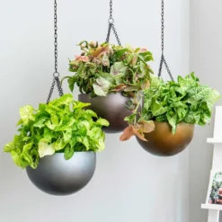 Gradient Hanging Plant Bowl - Matt Grey -Outlet The Ever Sprout Store Gradient Hanging Plant Bowl a846980a 9fed 4358 b541 f69e0e6c33f4