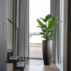 Gradient Partner Planter - Matt Grey 9 Gradient Partner Planter - Matt Grey -Outlet The Ever Sprout Store Gradient Partner Planter Matt Grey 4