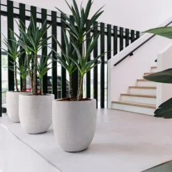 Grigio Tall Egg Pot Planter - Antique White Concrete -Outlet The Ever Sprout Store Grigio Tall Egg Pot Planter Antique White Concrete