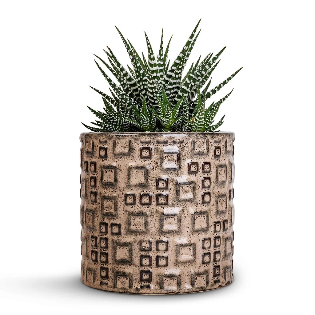 Fiene Plant Pot - Grey 2 Fiene Plant Pot - Grey - Image 2