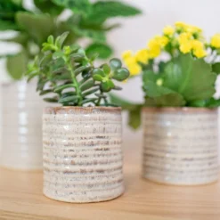 Hera Plant Pot - Ivory -Outlet The Ever Sprout Store HeraPlantPot 2