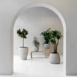 Hestia Mediterranean Planter - Chalk White -Outlet The Ever Sprout Store Hestia Athena Artemis lifestyle 3ced13fe 4624 4021 a884 96cbf7af9a6e