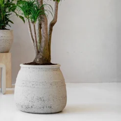 Hestia Mediterranean Planter - Chalk White -Outlet The Ever Sprout Store Hestia Mediterranean Planter Chalk White Lifestyle
