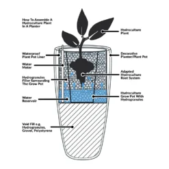 Yucca - HydroCare -Outlet The Ever Sprout Store Hydroculture Planter Diagram 0e227784 1481 4dd5 8495 5ce687d1e6ac