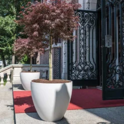 Jesslyn Refined Planter - Natural White 20 Jesslyn Refined Planter - Natural White -Outlet The Ever Sprout Store Jesslyn Refined Planter Natural White Entrance Planter