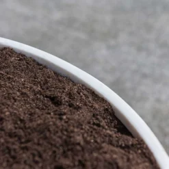 Jesslyn Refined Planter - Natural White 17 Jesslyn Refined Planter - Natural White -Outlet The Ever Sprout Store Jesslyn Refined Planter Natural White Rim