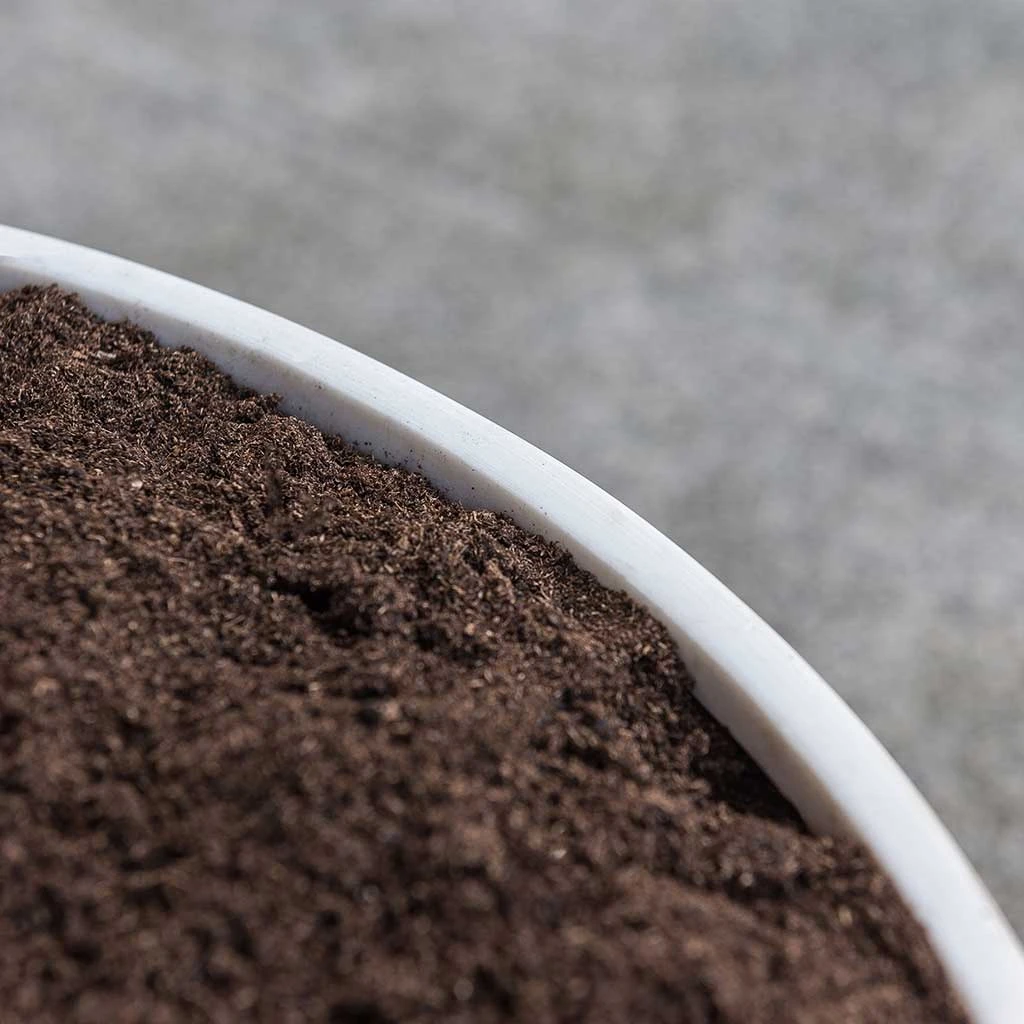 Jesslyn Refined Planter - Natural White 7 Jesslyn Refined Planter - Natural White - Image 7