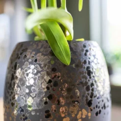 Kae Plant Vase - Mocha 6 Kae Plant Vase - Mocha -Outlet The Ever Sprout Store Kae Plant Vase Mocha Close Up