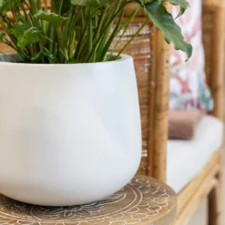 Kevan Essentials Plant Pot - Matt White -Outlet The Ever Sprout Store Kevan Plant Pot Matt White Philodendron Plant