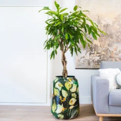 Lammie Planter - Bee Green -Outlet The Ever Sprout Store Lammie Planter Bee Green 6