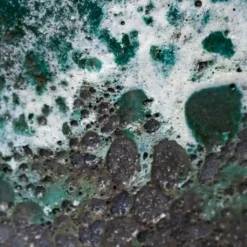 Lava Couple Straight Relic Planter - Jade 13 Lava Couple Straight Relic Planter - Jade -Outlet The Ever Sprout Store Lava Couple Straight Relic Planter Jade 19x13cm Colour Swatch 1 600e9bee 5e86 4f34 8b14 d96c9bba39e6