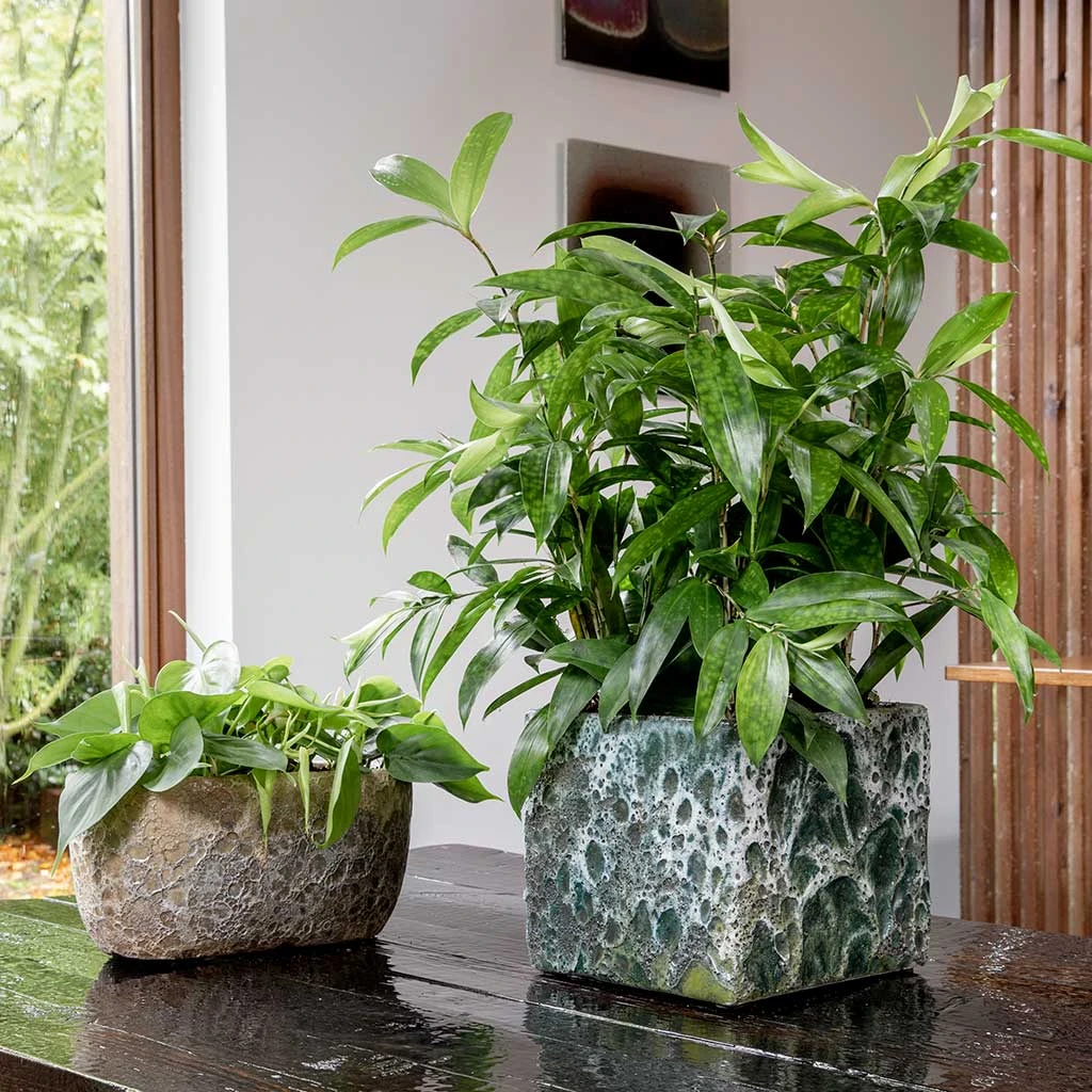 Lava Cube Relic Planter - Jade 9 Lava Cube Relic Planter - Jade - Image 9