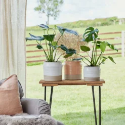 Puro Ripple Plant Pot - White -Outlet The Ever Sprout Store Lifestyle Puro Ripple Plant Pot 21x19cm 78129612 f541 46ee b1c8 f828cfeb6eb8