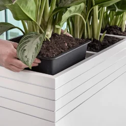 Line-Up Cube Planter - Matt White -Outlet The Ever Sprout Store Line Up Tall Square Planter Matt White Lifestyle d7ee9310 8be7 4c44 81be 86c068dc217b