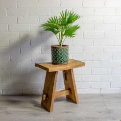 Livistona Rotundifolia - Footstool Palm -Outlet The Ever Sprout Store Livistona rotundifolia Footstool Palm liam turquoise plant pot natural