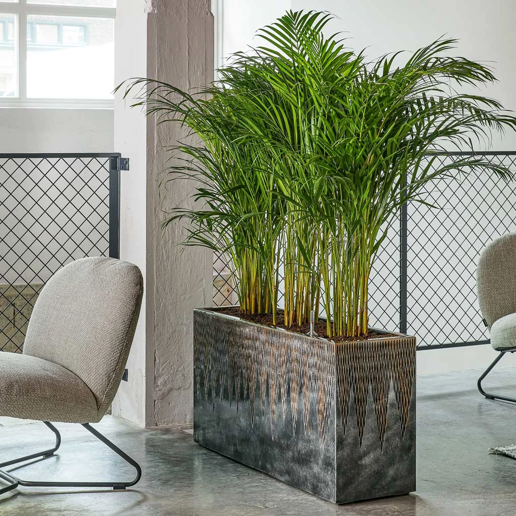 Luxe Lite Comet Trough Planter - Bronze 2 Luxe Lite Comet Trough Planter - Bronze - Image 2