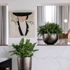 Metallic Plant Bowl - Matt Coffee -Outlet The Ever Sprout Store MetallicPlantBowl MattCoffee 45x27cmPlantPotSizeCheck HortologyMetallicPlantBowl MattCoffee 1