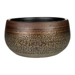 Mya Plant Bowl - Deep Champagne -Outlet The Ever Sprout Store Mya Plant Bowl Deep Champagne Medium