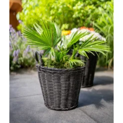 Nanna Wikr Plant Basket - Dark Brown -Outlet The Ever Sprout Store Nanna Wicker Plant Basket Dark Brown Palm Tree