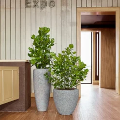 Naturescast Partner Planter - Grey -Outlet The Ever Sprout Store Naturescast Partner Couple Planter Grey Liestyle 05593378 b030 4331 9376 1d57c9e7d03e