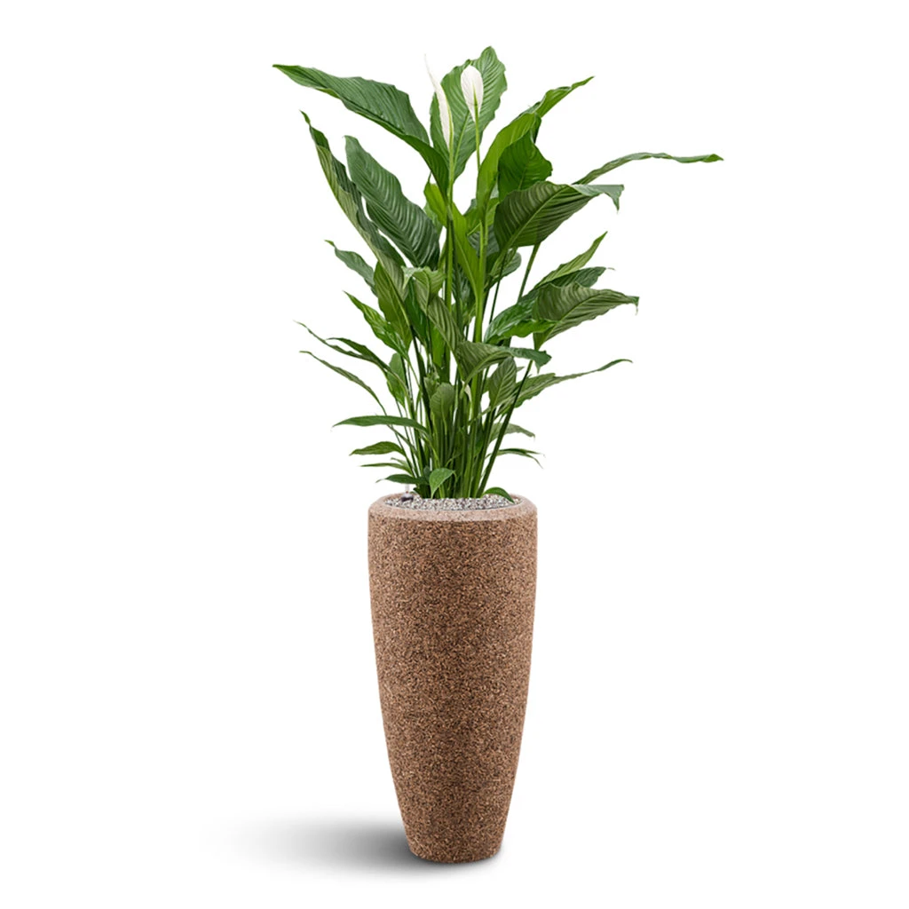 Naturescast Partner Planter - Natural 2 Naturescast Partner Planter - Natural - Image 2