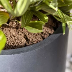 Nax Natural Tall Planter - Black 13 Nax Natural Tall Planter - Black -Outlet The Ever Sprout Store Nax Natural Tall Planter Black 2